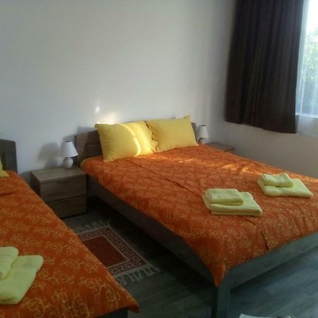 Pavicevic Apartman Sokobanja Kültér fotó