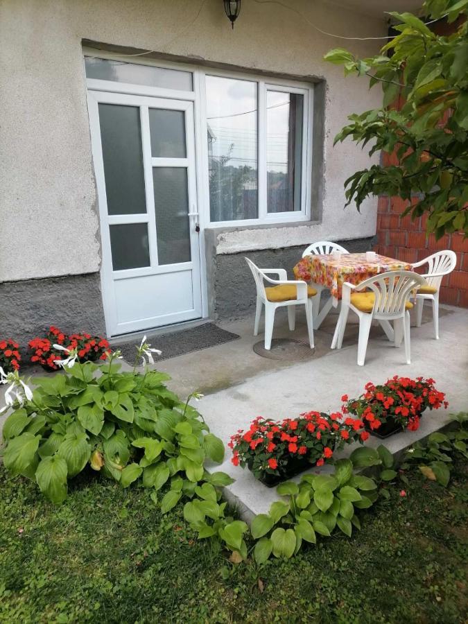 Pavicevic Apartman Sokobanja Kültér fotó