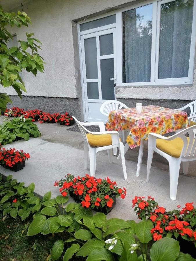 Pavicevic Apartman Sokobanja Kültér fotó
