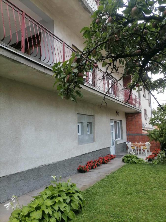 Pavicevic Apartman Sokobanja Kültér fotó