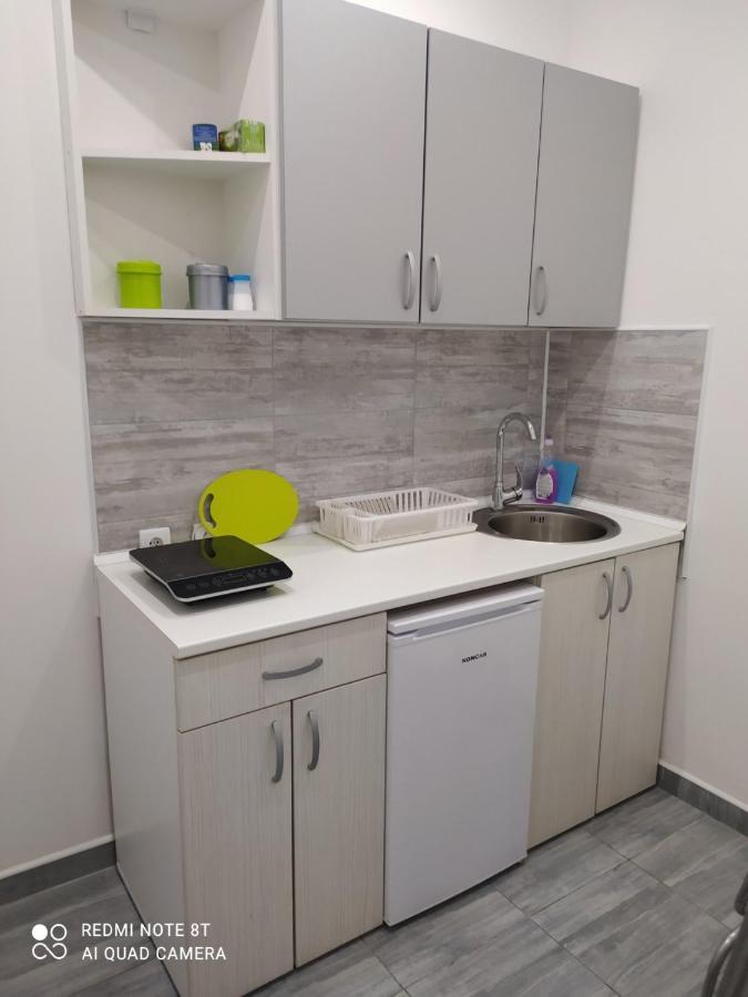 Pavicevic Apartman Sokobanja Kültér fotó