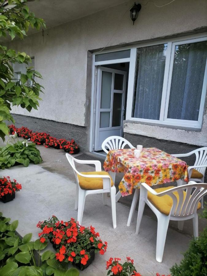 Pavicevic Apartman Sokobanja Kültér fotó