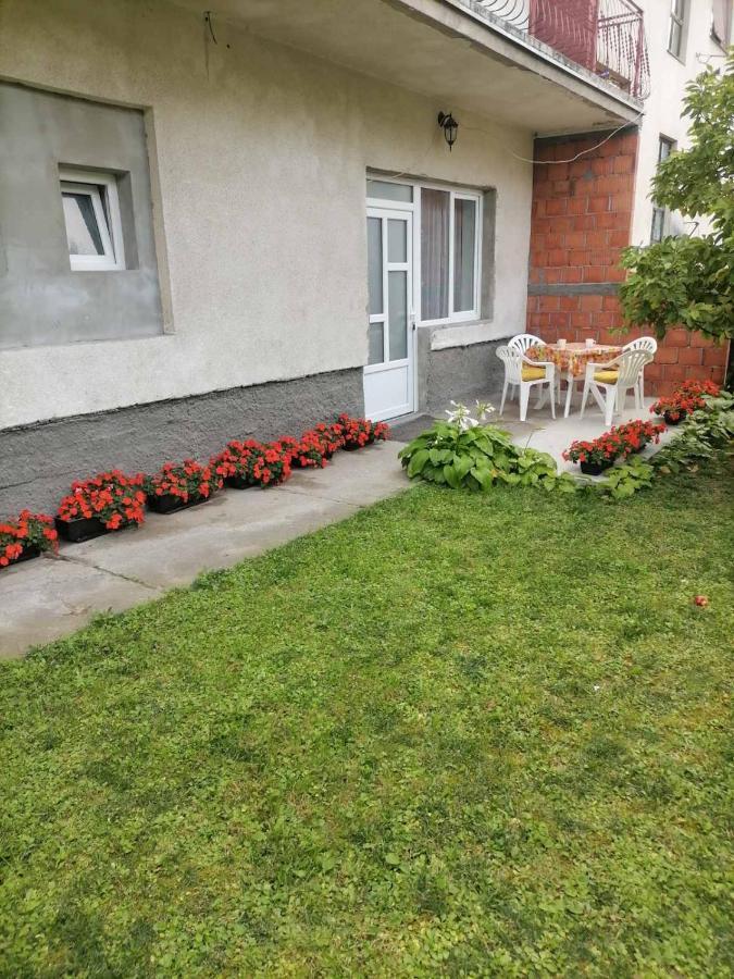 Pavicevic Apartman Sokobanja Kültér fotó