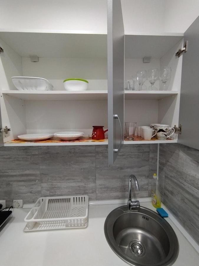 Pavicevic Apartman Sokobanja Kültér fotó