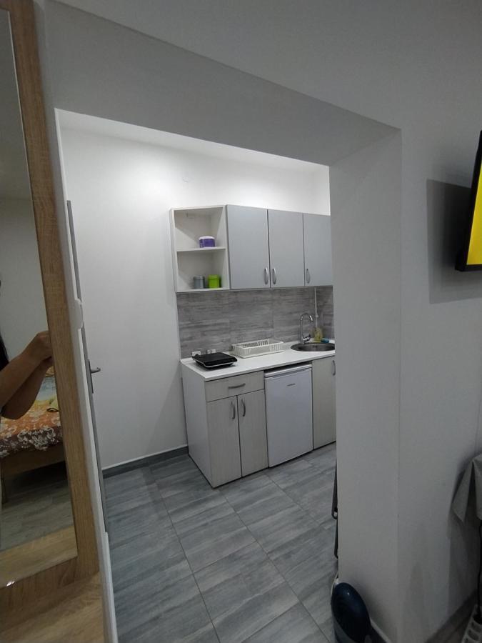 Pavicevic Apartman Sokobanja Kültér fotó