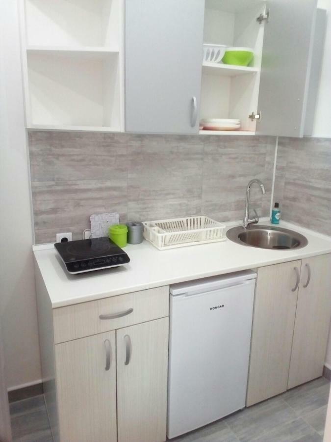 Pavicevic Apartman Sokobanja Kültér fotó