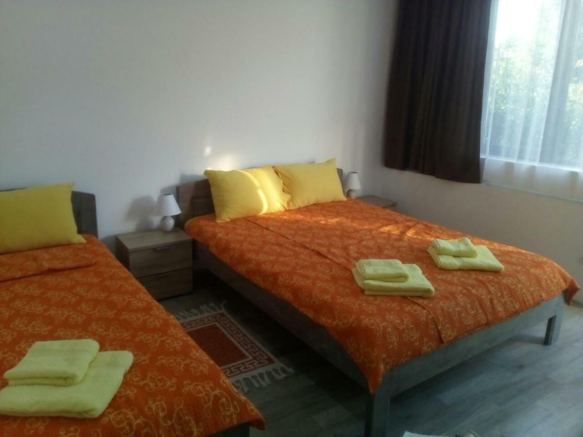 Pavicevic Apartman Sokobanja Kültér fotó