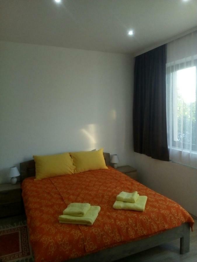 Pavicevic Apartman Sokobanja Kültér fotó